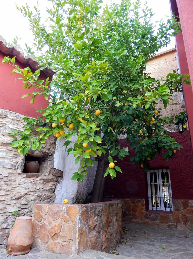Casa Rural La Perra Gorda Zorita  Exteriér fotografie